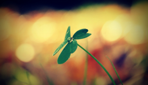 亚特兰大客场告捷，紧咬前四位置