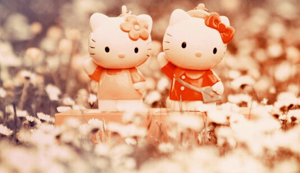 大象队连胜狂潮引起球迷狂欢