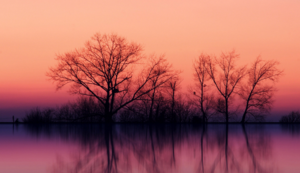 南非代表团射箭选手表现出色，力压对手进入四强