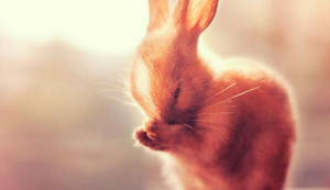 南非代表团射箭选手表现出色，力压对手进入四强