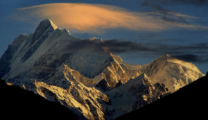 大象队连胜狂潮引起球迷狂欢