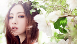 热血对决，球场风暴再度爆发